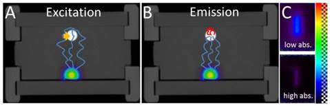 Theranostics Image