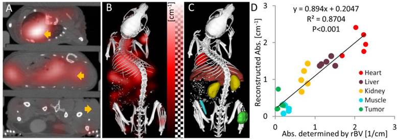 Theranostics Image