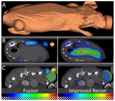 Theranostics Image