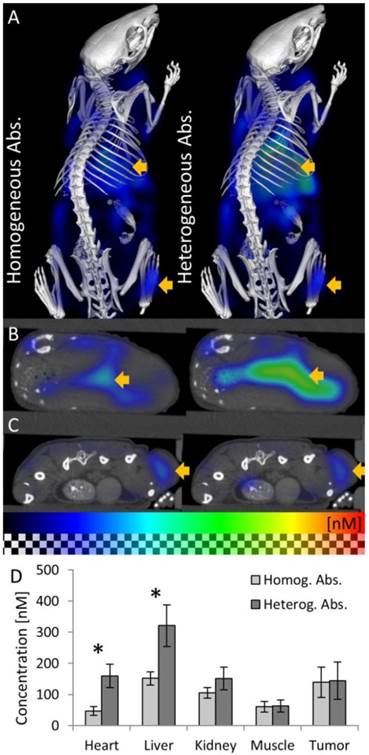 Theranostics Image