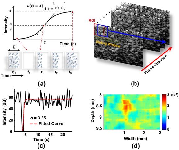 Theranostics Image