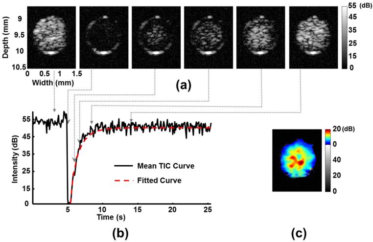 Theranostics Image