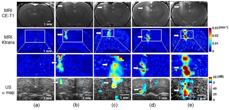 Theranostics Image