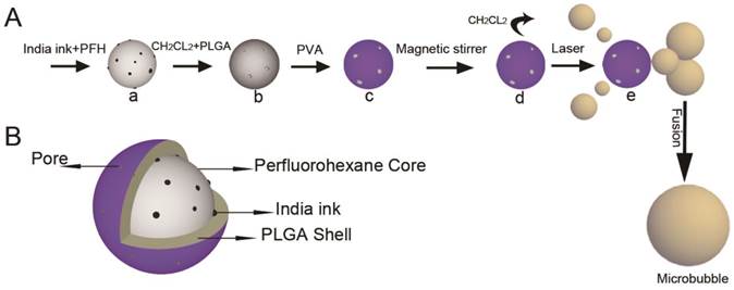 Theranostics Image