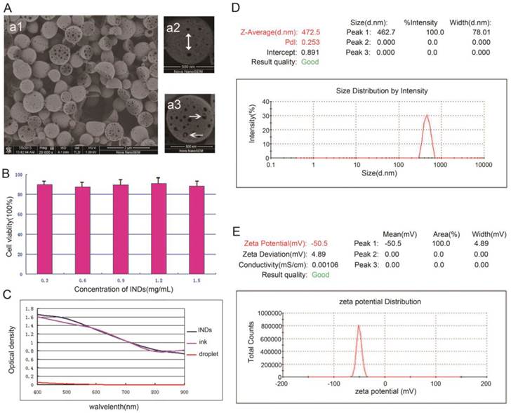 Theranostics Image