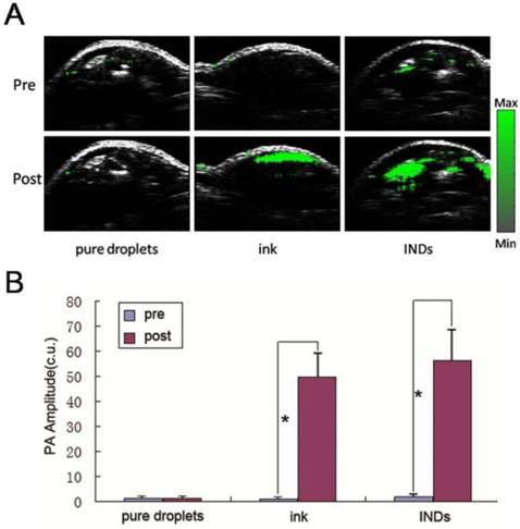 Theranostics Image