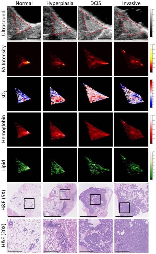 Theranostics Image