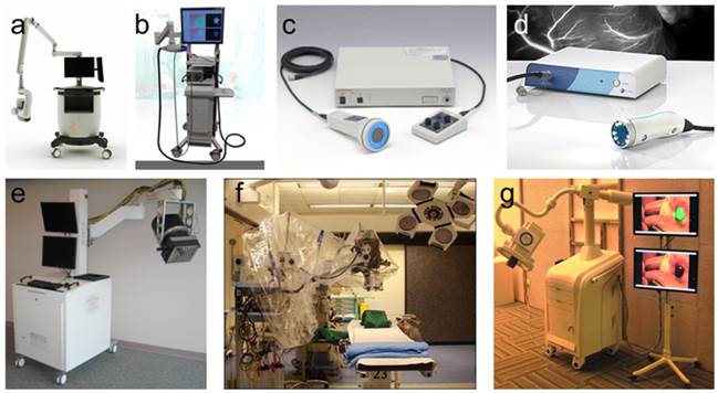 Theranostics Image