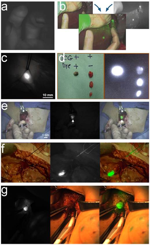 Theranostics Image