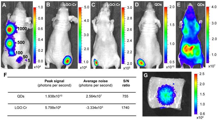 Theranostics Image