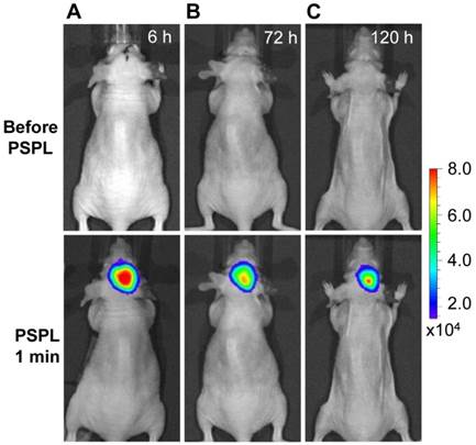 Theranostics Image