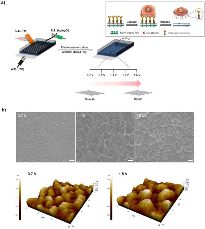 Theranostics Image