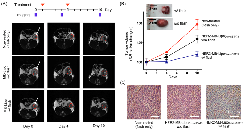 Theranostics Image