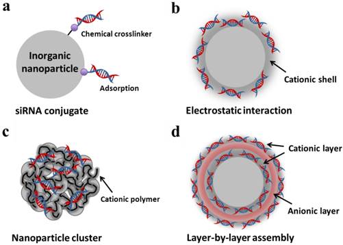 Theranostics Image