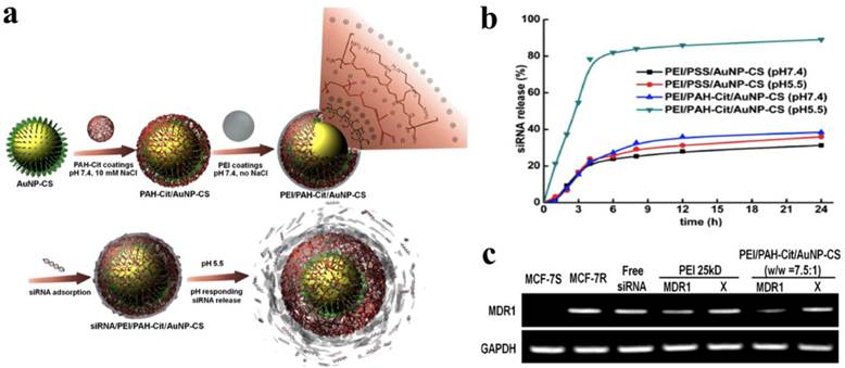 Theranostics Image