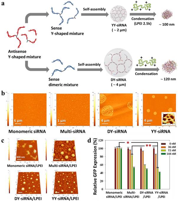 Theranostics Image