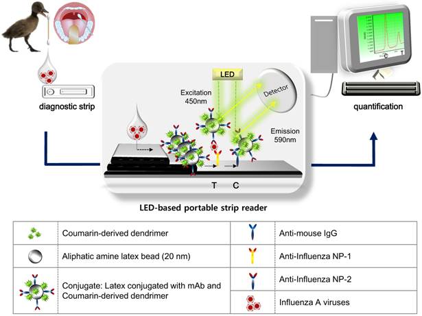 Theranostics Image