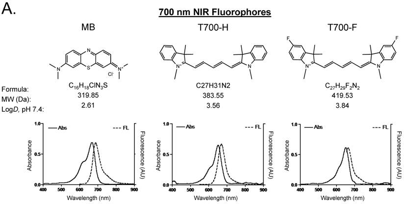 Theranostics Image