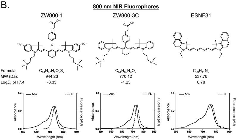 Theranostics Image