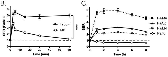 Theranostics Image