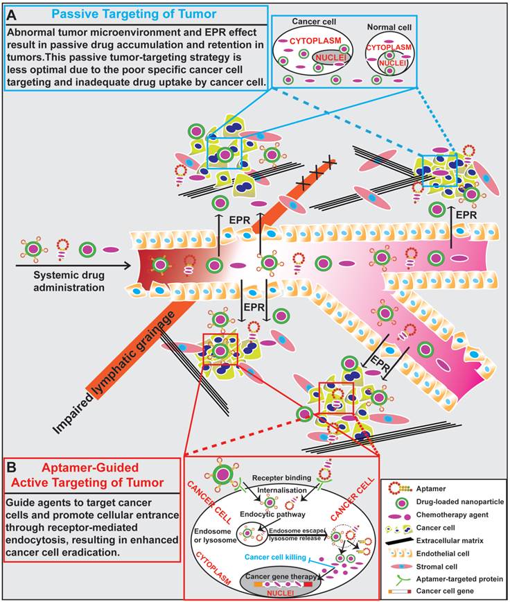 Theranostics Image