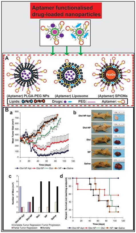 Theranostics Image