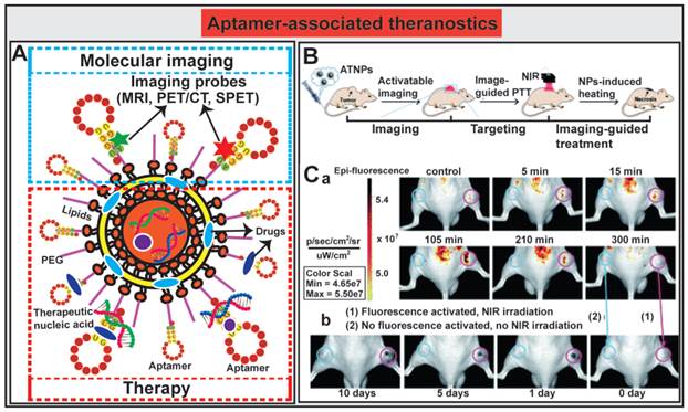 Theranostics Image