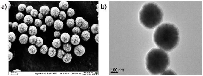 Theranostics Image