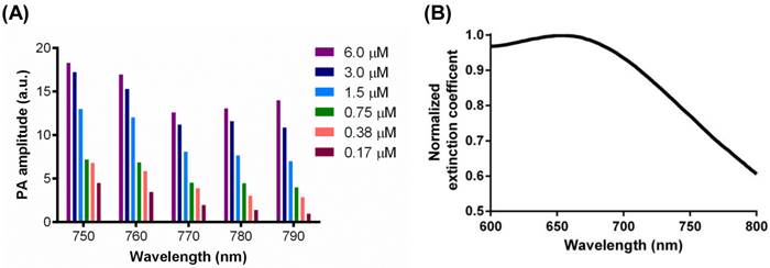 Theranostics Image