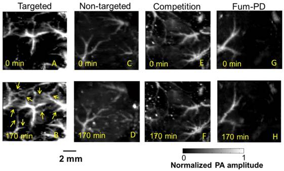 Theranostics Image