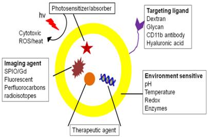 Theranostics Image