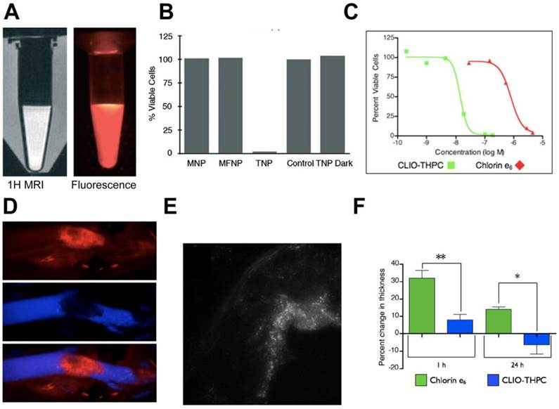 Theranostics Image