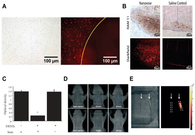 Theranostics Image