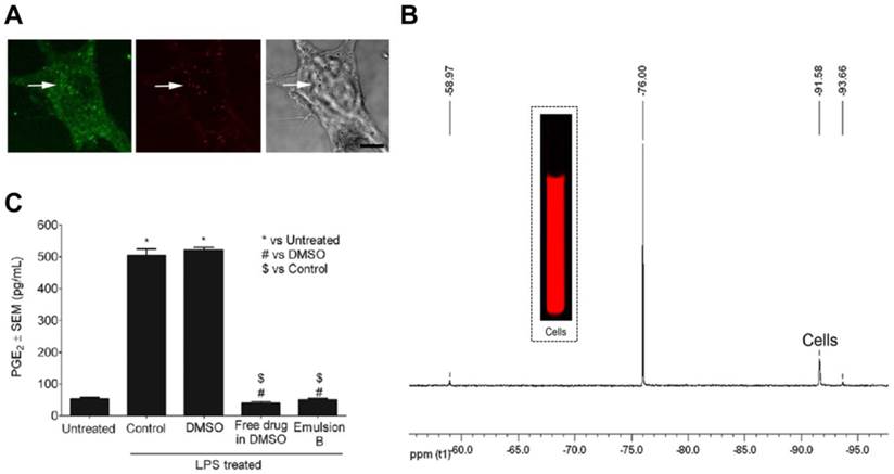 Theranostics Image