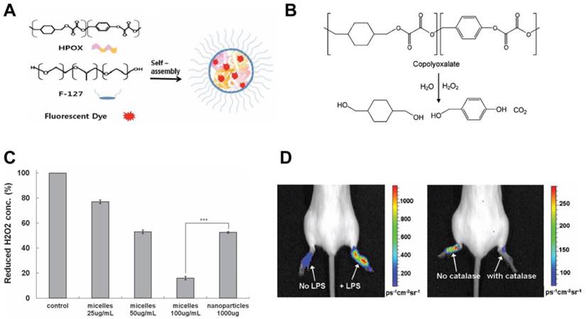 Theranostics Image