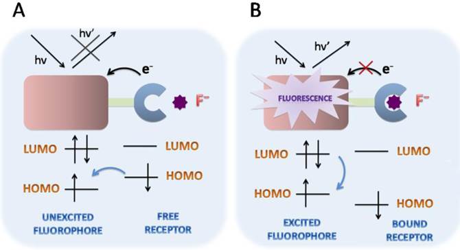 Theranostics Image