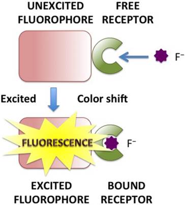 Theranostics Image