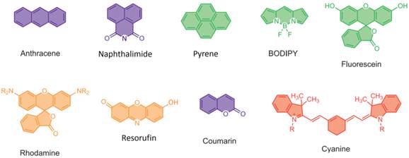 Theranostics Image