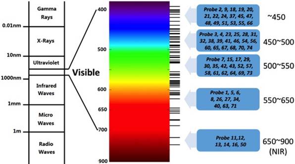 Theranostics Image