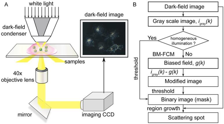 Theranostics Image