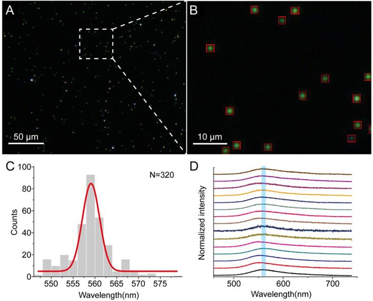 Theranostics Image