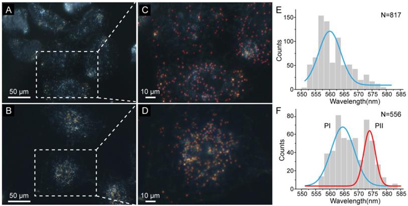 Theranostics Image