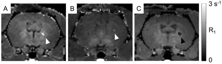 Theranostics Image