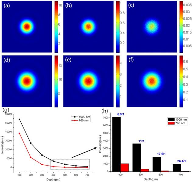 Theranostics Image