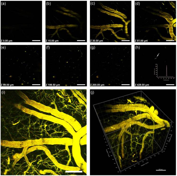 Theranostics Image