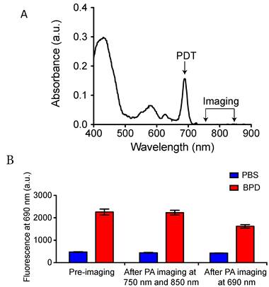 Theranostics Image