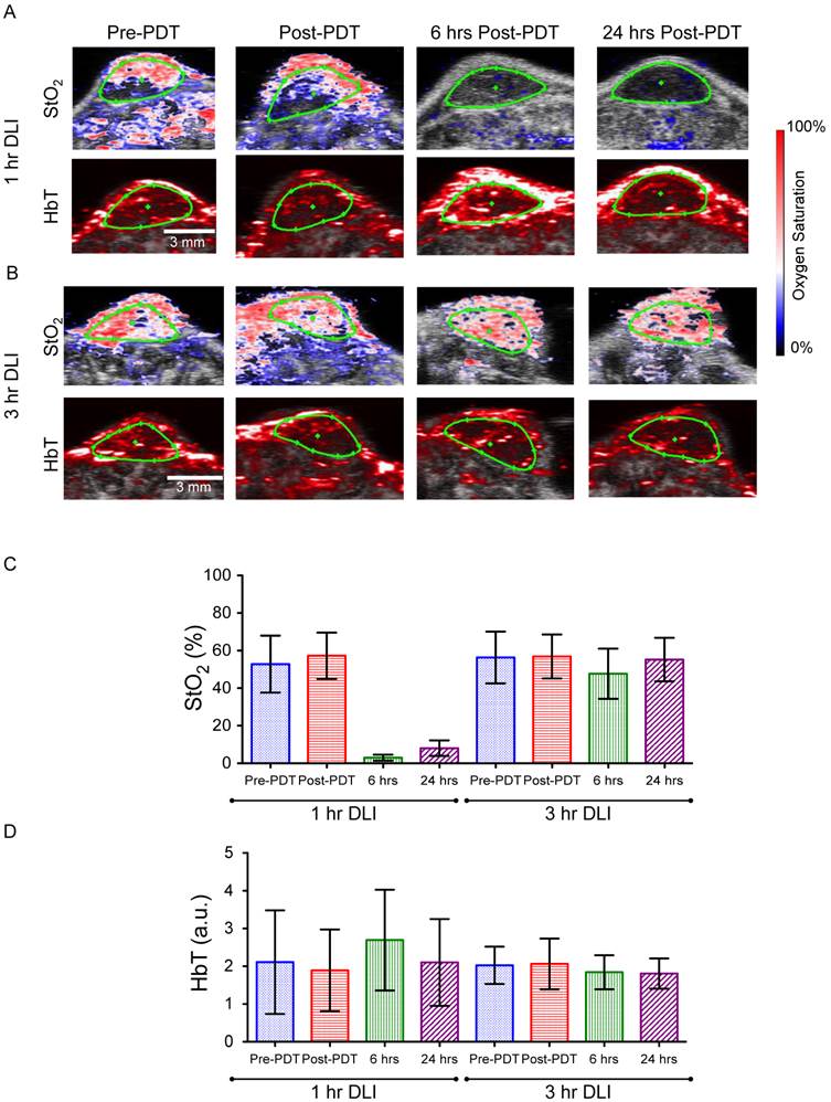 Theranostics Image