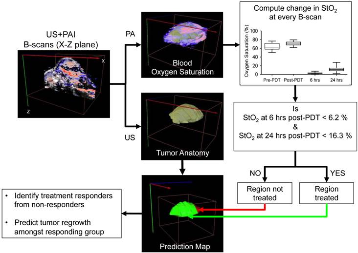 Theranostics Image