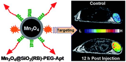 Theranostics Image