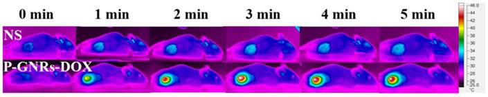 Theranostics Image